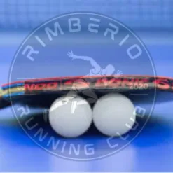 Table Tennis Equipment: Basic Ping Pong Table in California